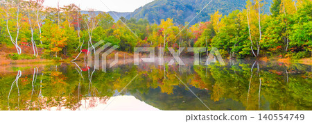 [Panorama] Early autumn morning: Vibrant autumn leaves and perfect reflection in the water at Maime Pond in Norikura Highlands. 140554749