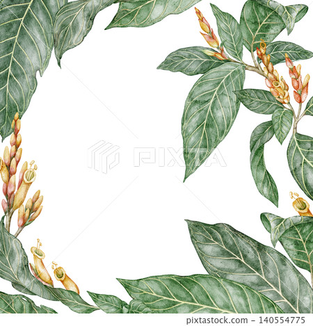 Sanchezia plant square frame with copy space. Hand drawn watercolor background with greenery and flower in botanical style. Exotic floral natural design for garden card or botanical art template Sanchezia plant square frame with copy space. Hand drawn watercolor background with greenery and flower in botanical style. Exotic floral natural design for garden card or botanical art template 140554775