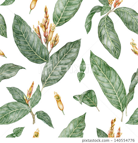 Seamless pattern of tropical Sanchezia plant. Hand drawn watercolor illustration with green leaves branch and flower in botanical style. Decorative background design for summer wallpaper or textile Seamless pattern of tropical Sanchezia plant. Hand drawn watercolor illustration with green leaves branch and flower in botanical style. Decorative background design for summer wallpaper or textile 140554776
