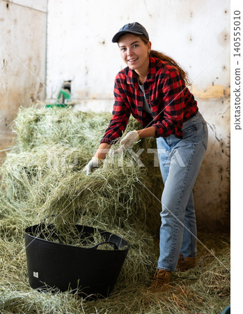Beautiful young girl in plaid shirt and gloves stacking hay for feeding horses in basket at stable Beautiful young girl in plaid shirt and gloves stacking hay for feeding horses in basket at stable 140555010