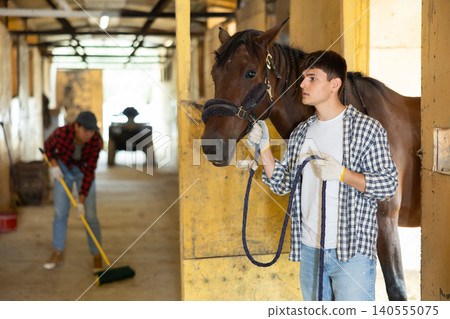 Male owner of horse takes animal out of stall, holds bridle and forces it to follow him Male owner of horse takes animal out of stall, holds bridle and forces it to follow him 140555075
