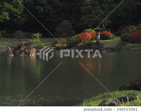 六義園大池塘杜鵑花盛開時的景色。 六義園大池塘杜鵑花盛開時的景色。 140555091