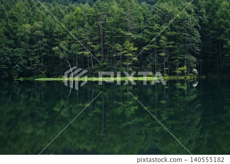 Summer's shooting pond 140555182
