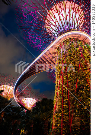 Night view of Singapore, Southeast Asia Night view of Singapore, Southeast Asia 140555339
