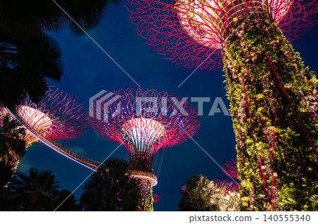 Night view of Singapore, Southeast Asia Night view of Singapore, Southeast Asia 140555340