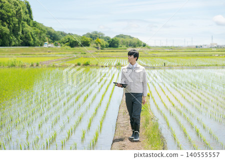一名身穿工作服的男子正在看著稻田。 一名身穿工作服的男子正在看著稻田。 140555557