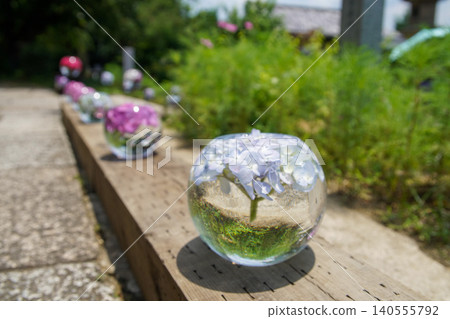 Hydrangea bowl at Hannya-ji Temple 140555792