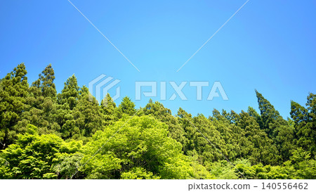 A clear blue sky and a vast expanse of vibrant new green trees: A typical early summer scene in Tochigi Prefecture. 140556462