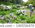 下雨天的繡球花公園 下雨天的繡球花公園 140556470