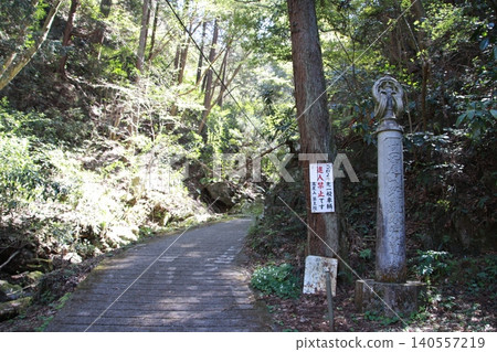 Mount Takao: Scenery and Flowers Mount Takao: Scenery and Flowers 140557219