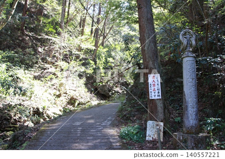 高尾山:風景與花卉 高尾山:風景與花卉 140557221