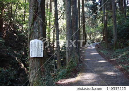 Mount Takao: Scenery and Flowers Mount Takao: Scenery and Flowers 140557225