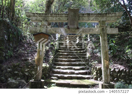 高尾山:風景與花卉 高尾山:風景與花卉 140557227