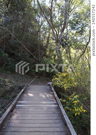 Mount Takao: Scenery and Flowers Mount Takao: Scenery and Flowers 140557242
