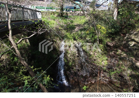 高尾山:風景與花卉 高尾山:風景與花卉 140557251