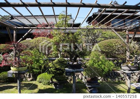 Mount Takao: Scenery and Flowers 140557258