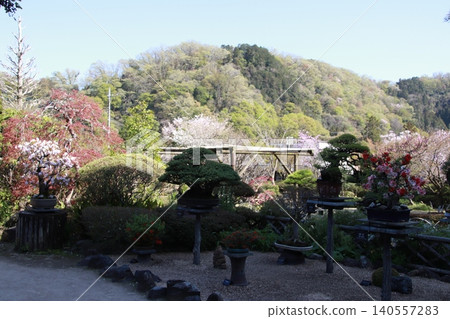 一座古老的木造建築：高尾駒木野花園 140557283