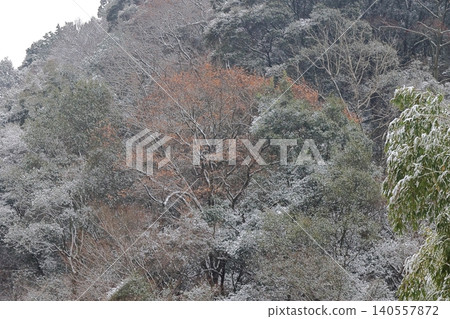 雪景 140557872