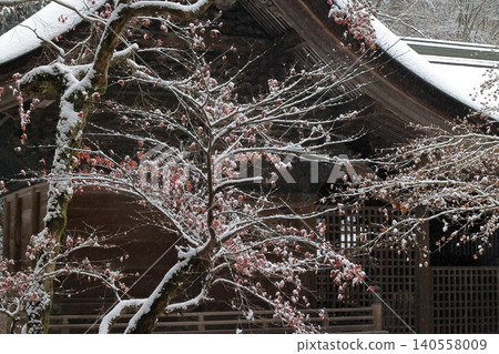 雪景 雪景 140558009