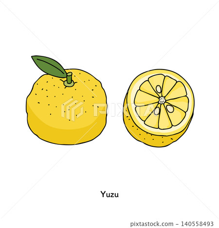 冬季柑橘類水果柚子插畫集 冬季柑橘類水果柚子插畫集 140558493