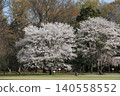 Koganei Park is one of Tokyo's most famous cherry blossom viewing spots. 140558552