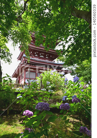 盛開的繡球花和一座五層寶塔 盛開的繡球花和一座五層寶塔 140560339
