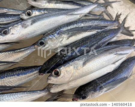 飛魚 飛魚 140560418
