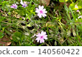 Small flowers 140560422
