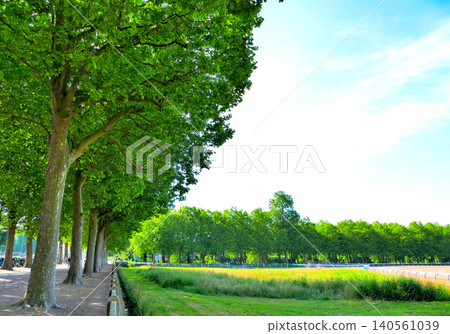 A scene of the park wrapped in fresh green A scene of the park wrapped in fresh green 140561039