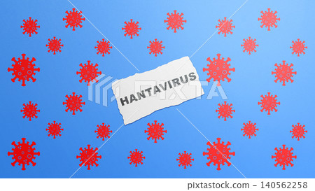 Torn white paper with Hantavirus text surrounded by red virus models on a blue background, representing infectious disease risk Torn white paper with Hantavirus text surrounded by red virus models on a blue background, representing infectious disease risk 140562258