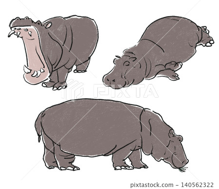 Hand-drawn style hippo illustration set of 3 Hand-drawn style hippo illustration set of 3 140562322