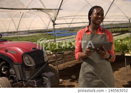 African american woman inspecting lettuce trays with tablet in greenhouse by tractor African american woman inspecting lettuce trays with tablet in greenhouse by tractor 140563052
