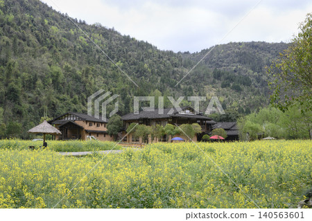 A house with a dark tiled roof in a rapeseed field in the mountains near Zhangjiajie, China A house with a dark tiled roof in a rapeseed field in the mountains near Zhangjiajie, China 140563601