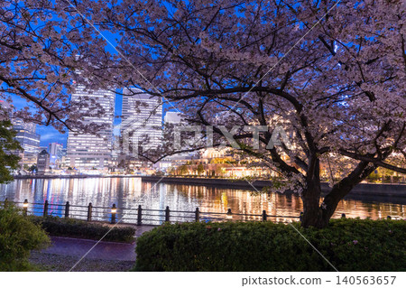 The night view of Minato Mirai and the cherry blossoms at night along the Kishamichi promenade. 140563657