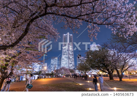 The night view of Minato Mirai and the cherry blossoms at night along the Kishamichi promenade. The night view of Minato Mirai and the cherry blossoms at night along the Kishamichi promenade. 140563673