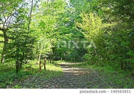 Iwatsuki Walk: Green Trust Conservation Area No. 7 Iwatsuki Walk: Green Trust Conservation Area No. 7 140563831
