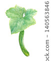 Watercolor illustration of a cucumber with leaves [Hand-drawn] White background, cutout, with space for copying 140563846