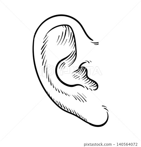 Human ear hand drawn Human ear hand drawn 140564072