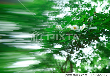 明亮清新的綠色背景 明亮清新的綠色背景 140565317