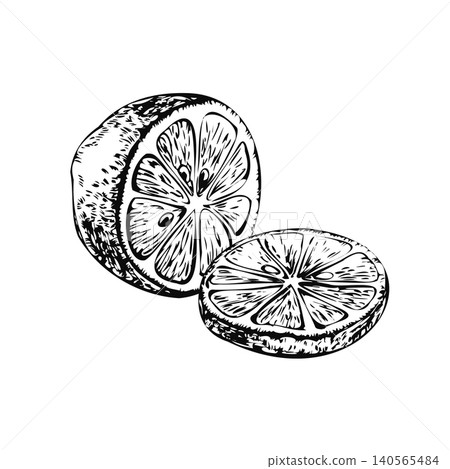 Lemon half with cut round slice hand drawn line art sketch. Black ink citrus composition isolated on white for cosmetic brand label, summer cocktail menu, essential oil package, and card 140565484