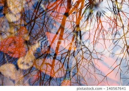 Abstract artistic double exposure photograph featuring bare tree branches silhouetted against a soft blue and orange sky background. Abstract artistic double exposure photograph featuring bare tree branches silhouetted against a soft blue and orange sky background. 140567641