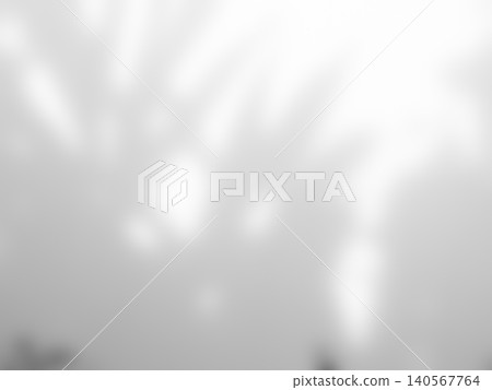 Shadow light summer background sunight overlay nature on room cement wall floor abstract blur muckup effect grey minimal platform for presentation product backdrop, wallpaper template display. 140567764