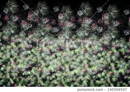 Fireworks blooming in magnificent glory 140569507