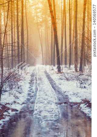 Road in a winter pine forest during the thaw. Winter nature Road in a winter pine forest during the thaw. Winter nature 140569577