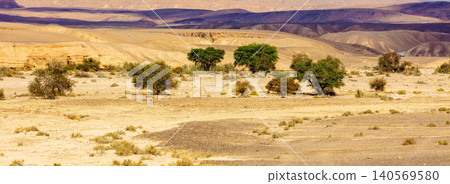Landscape of the desert, dry riverbed. Trees grow along the dry riverbed Landscape of the desert, dry riverbed. Trees grow along the dry riverbed 140569580