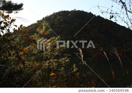 一座變成紅色葉子的山 一座變成紅色葉子的山 140569596