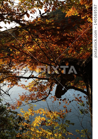 autumn leaves 140569597