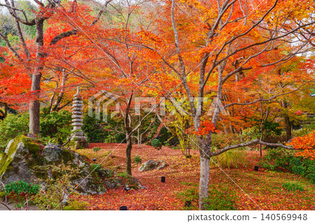 Autumn leaves of Kyoto Buddhist priest Autumn leaves of Kyoto Buddhist priest 140569948