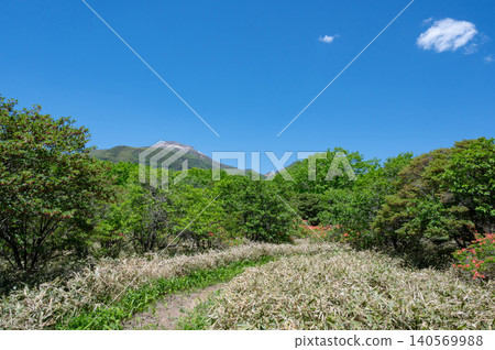 山深處鬱鬱蔥蔥的樹木和蔚藍的天空 山深處鬱鬱蔥蔥的樹木和蔚藍的天空 140569988