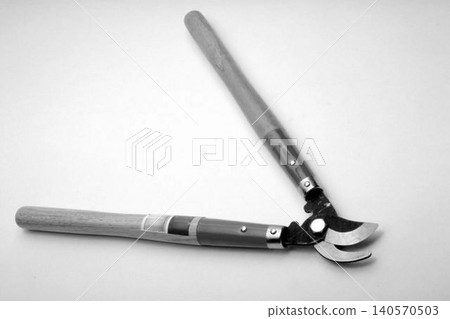 a Professional Bypass Pruning Shears with Wooden Handles 140570503